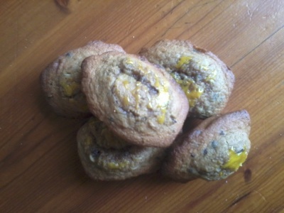 Madeleines à la noix de coco et au grué de cacao